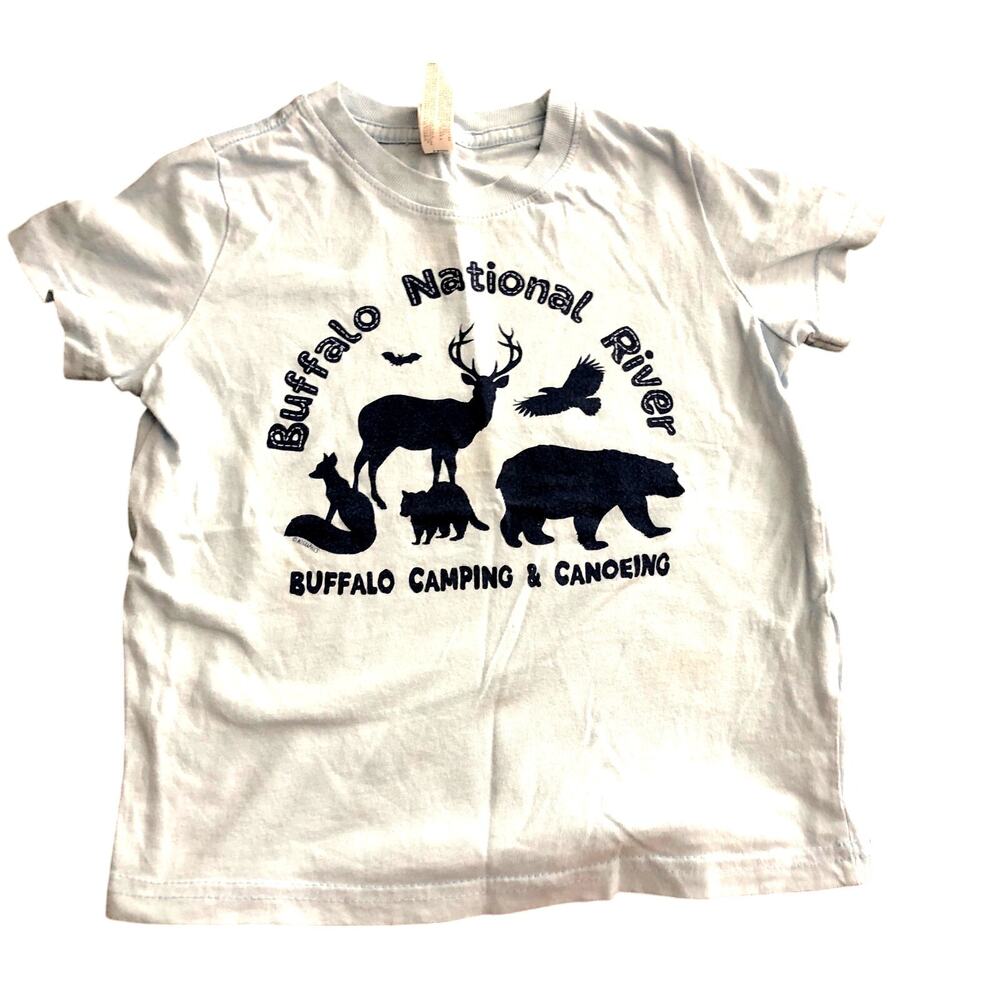 Light blue Buffalo National River tee